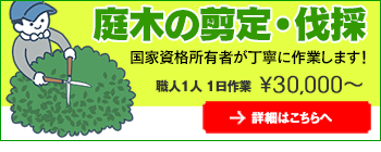 庭木の剪定伐採